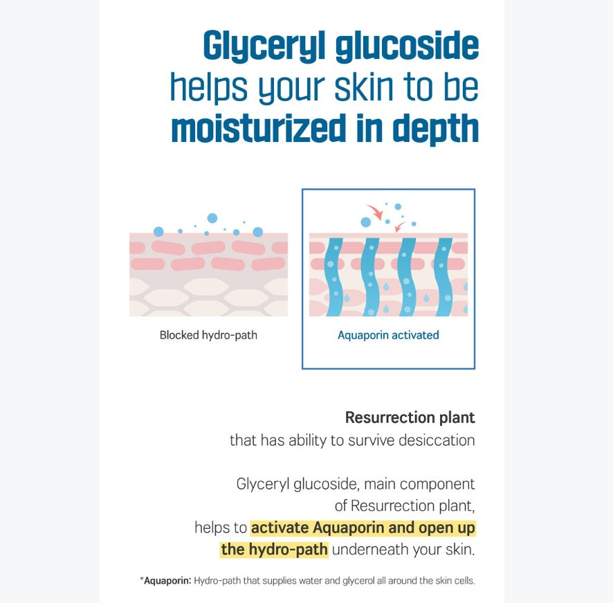 Glyceryl glucoside helps your skin to be moisturized in depth. Resurrection paint that has ability to survive desiccation. Glyceryl glucoside, main component of Resurrection paint, helps to activate Aquaporin and open up the hydro-pah underneath your skin.